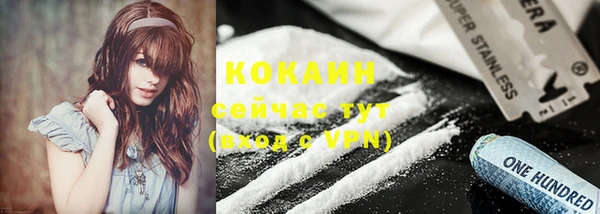 индика Абдулино