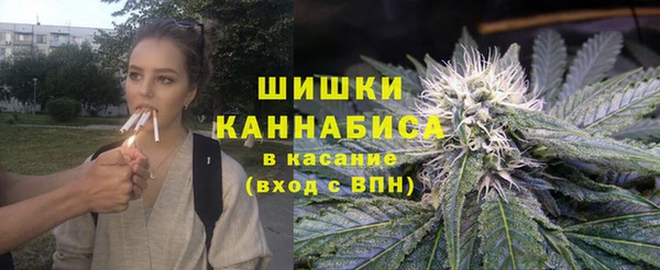 индика Абдулино