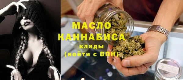 индика Абдулино