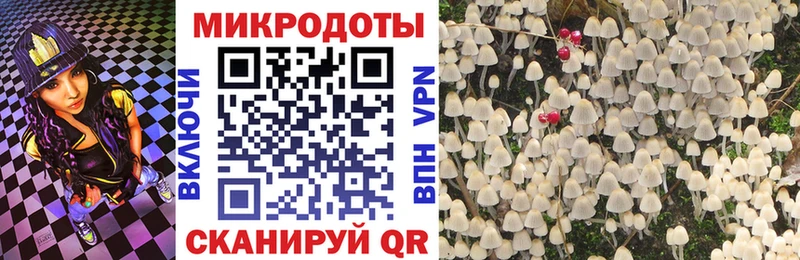 Галлюциногенные грибы мухоморы  где купить наркоту  Благовещенск 